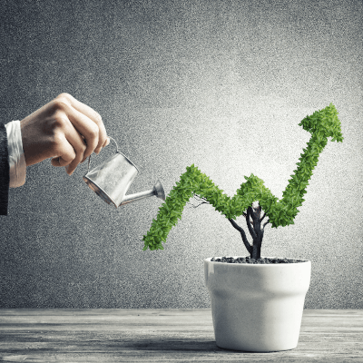 CryptoInnovationFund