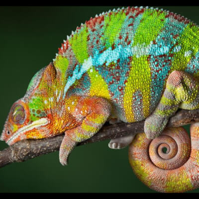 All Fund - Zero Fees